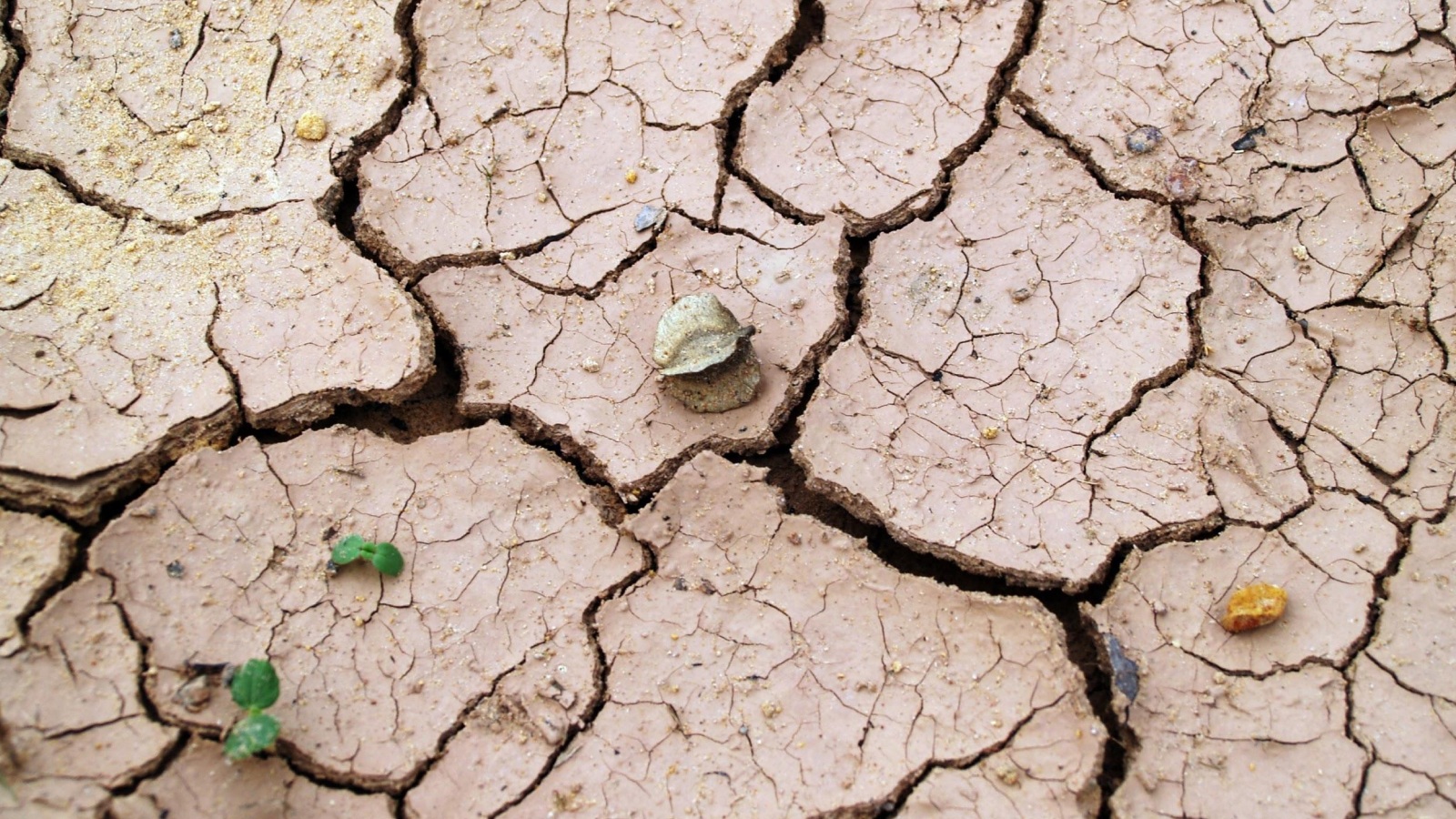 Is Hard Water Bad For You? American Home Water & Air