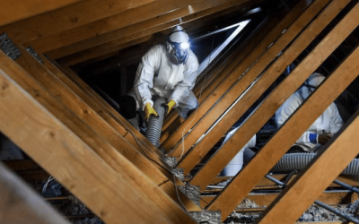 Attic cleaning and decontamination phoenix